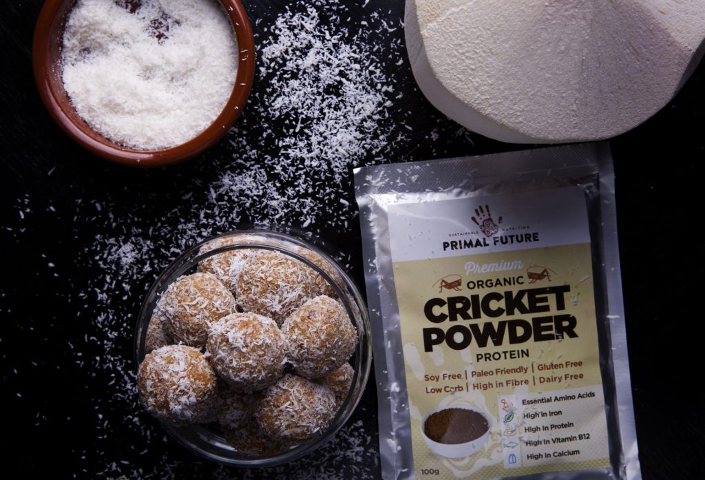 Timbits (round donuts) made using cricket protein powder and then rolled in freshly grated coconut.